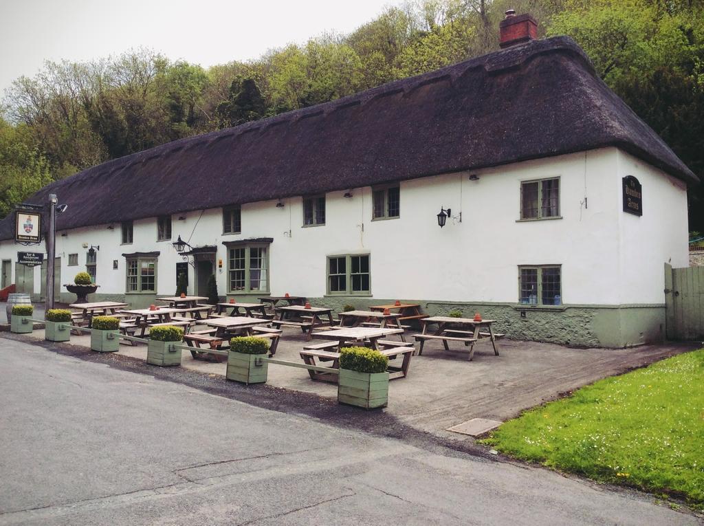 فندق Hambro Arms Milton Abbas المظهر الخارجي الصورة