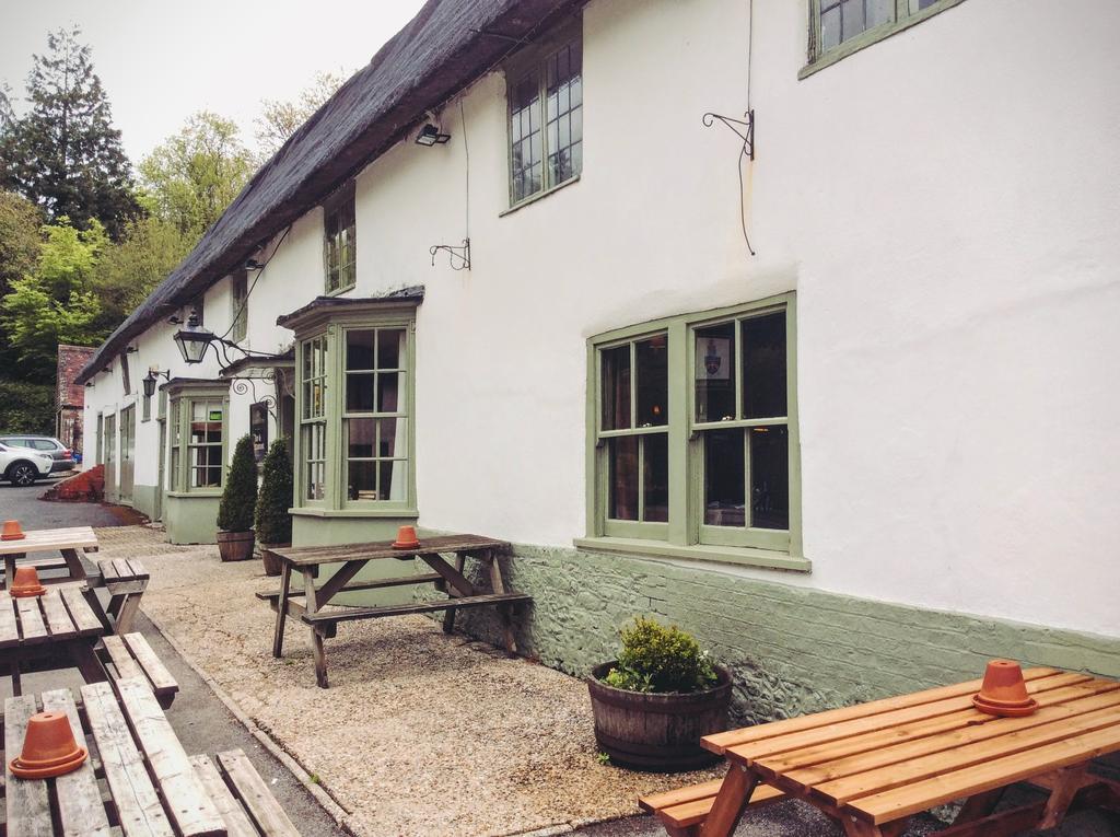 فندق Hambro Arms Milton Abbas المظهر الخارجي الصورة