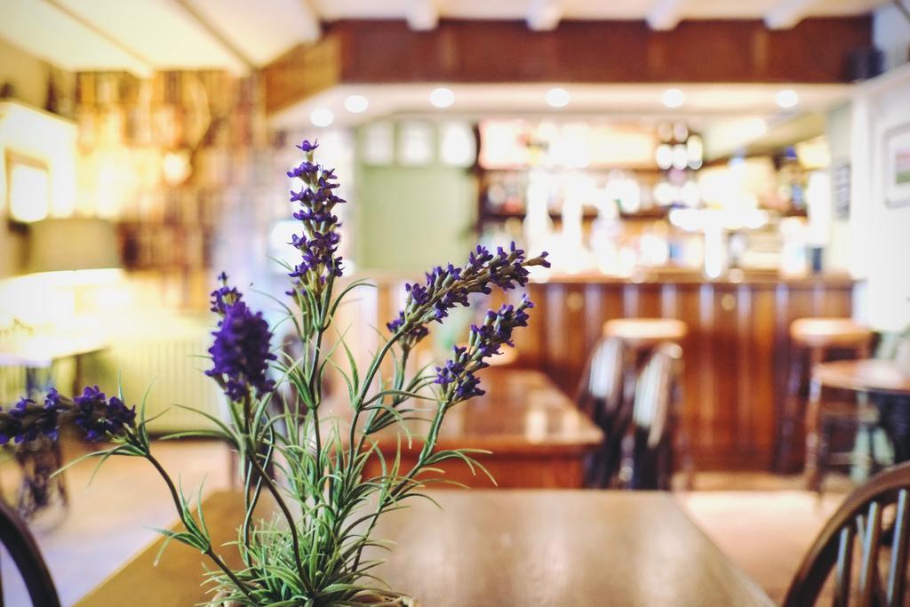 فندق Hambro Arms Milton Abbas المظهر الخارجي الصورة