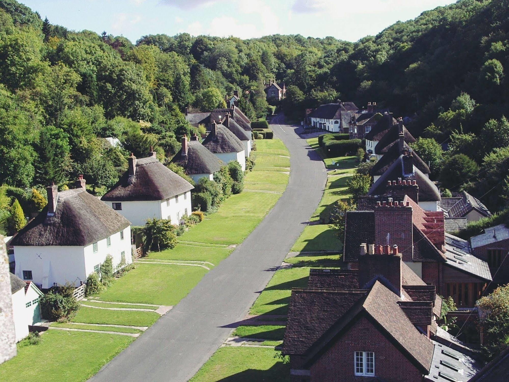 فندق Hambro Arms Milton Abbas المظهر الخارجي الصورة