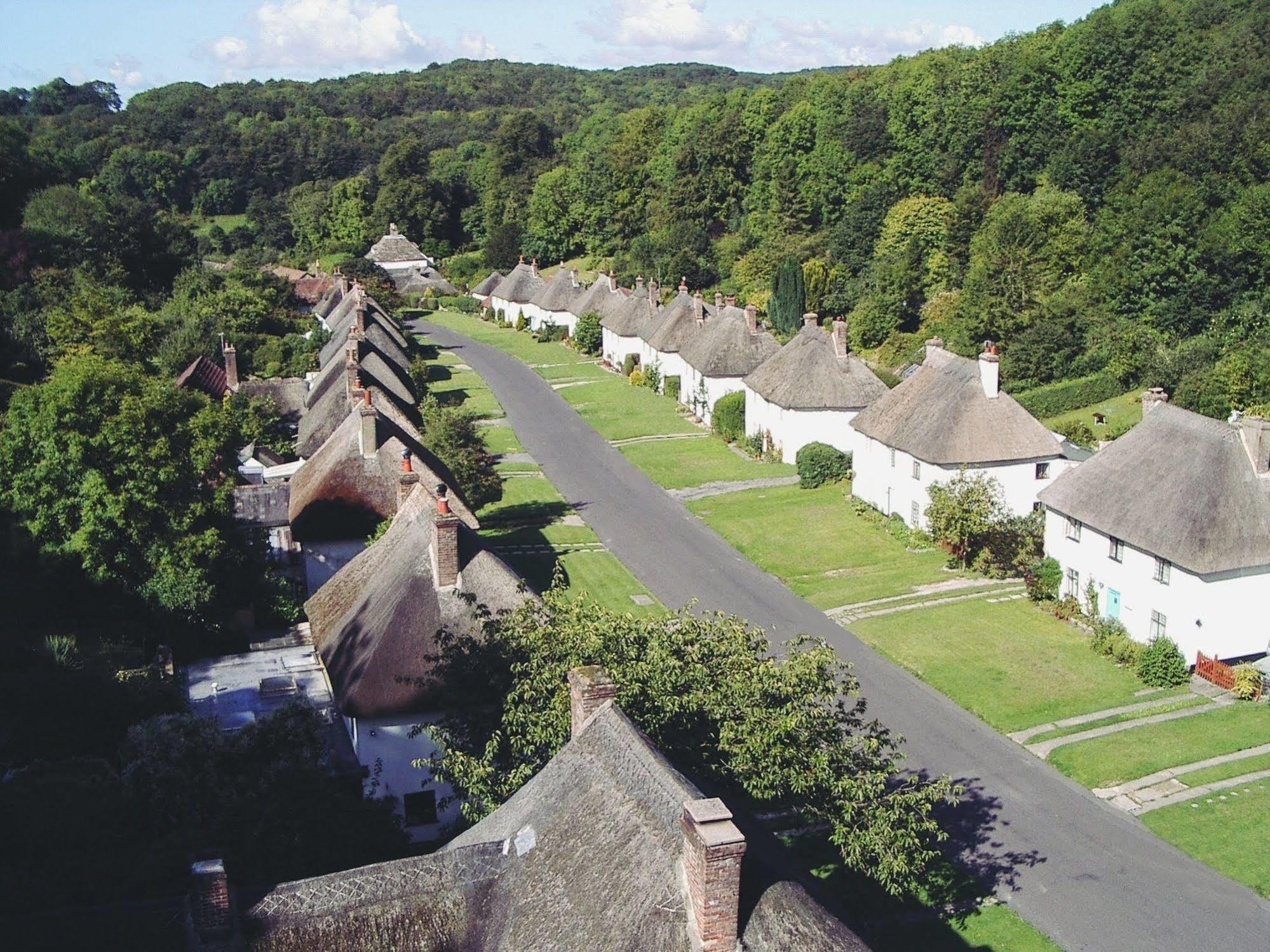 فندق Hambro Arms Milton Abbas المظهر الخارجي الصورة